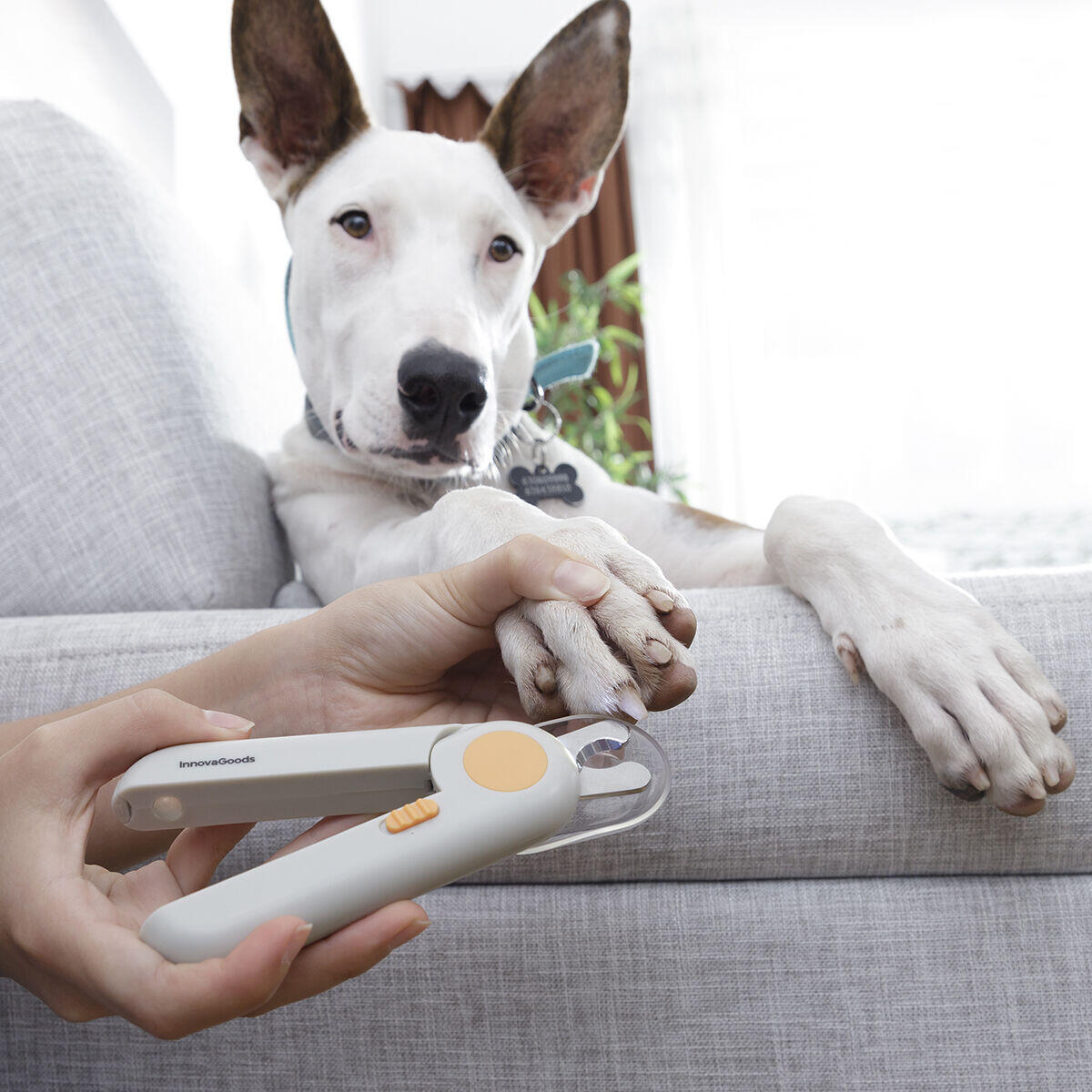 Cortaúñas con Luz LED para Mascotas – Corte Seguro y Preciso