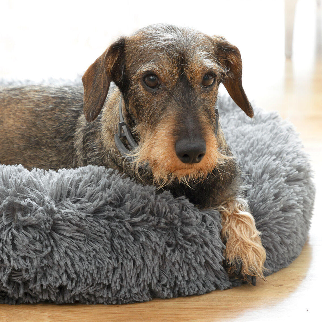 Cama Antiestrés para Mascotas Ø 60 cm – Confort y Relajación Garantizada