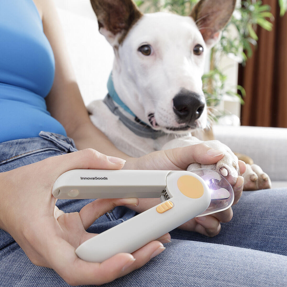 Cortaúñas con Luz LED para Mascotas – Corte Seguro y Preciso