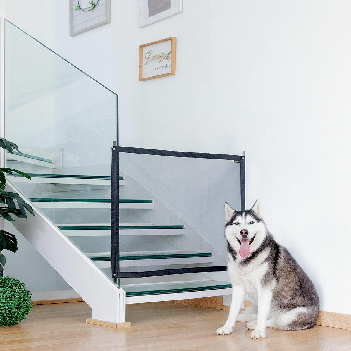 Red de Seguridad para Mascotas – Protección en Casa o Balcones