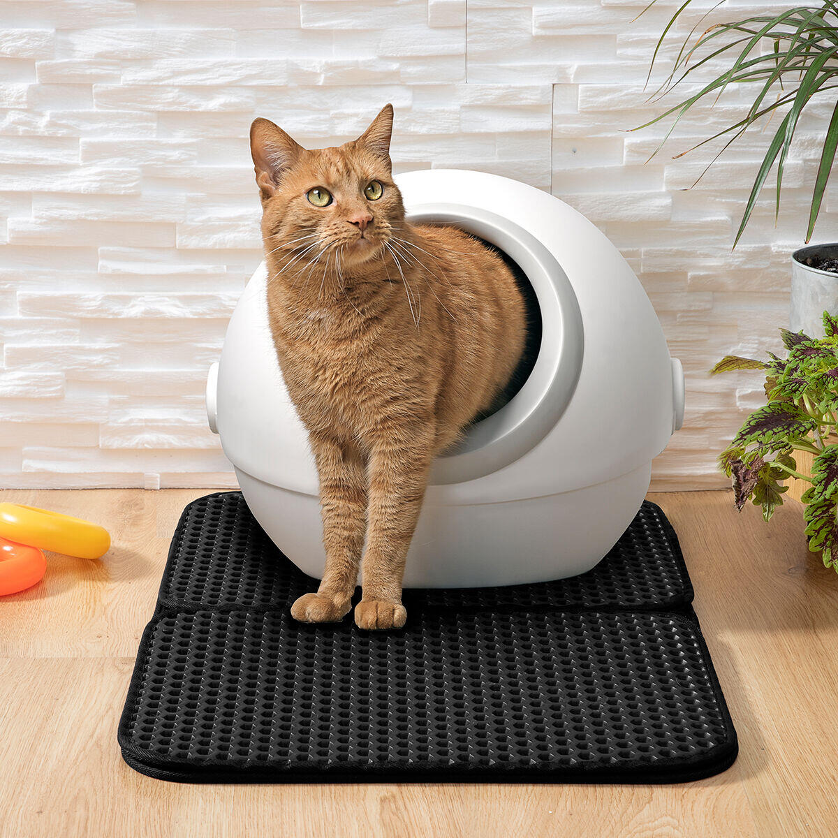 Alfombra para Arenero de Gatos – Captura la Arena y Mantiene Limpio el Suelo