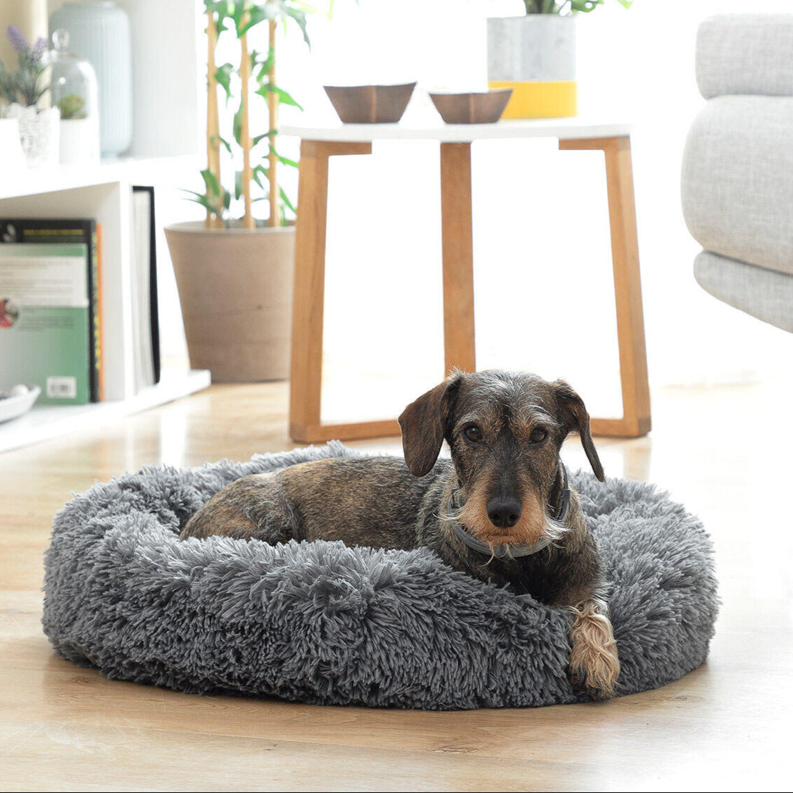 Cama Antiestrés para Mascotas Ø 60 cm – Confort y Relajación Garantizada