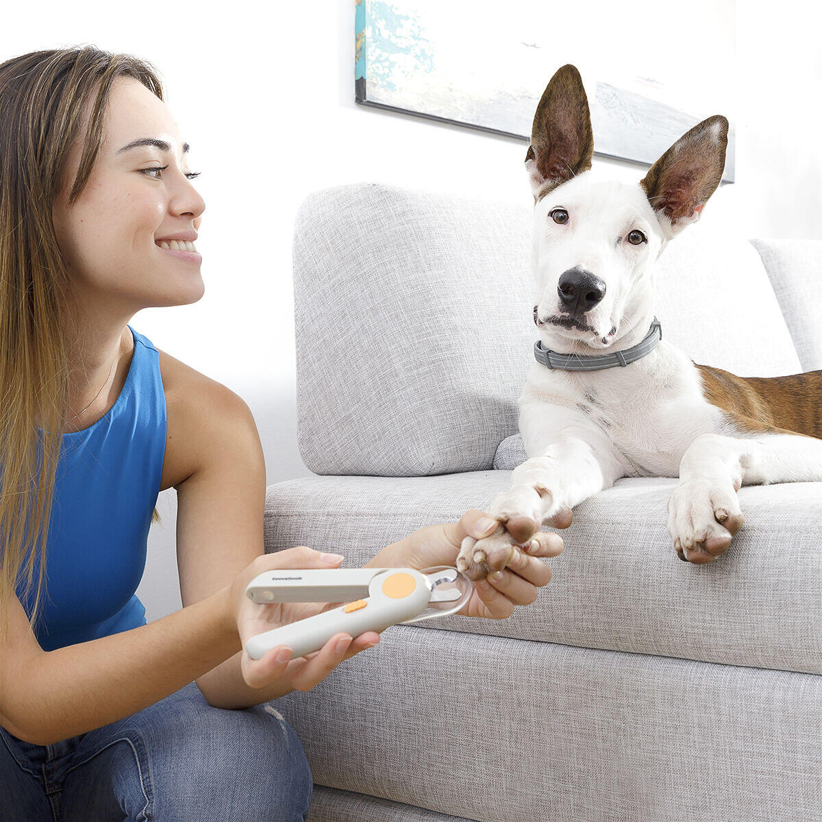 Cortaúñas con Luz LED para Mascotas – Corte Seguro y Preciso
