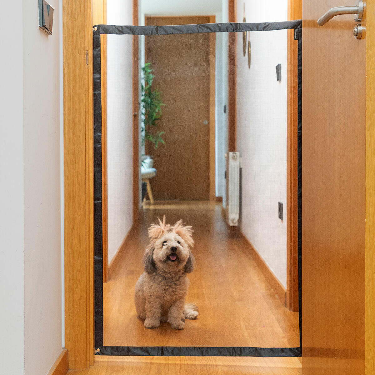Red de Seguridad para Mascotas – Protección en Casa o Balcones