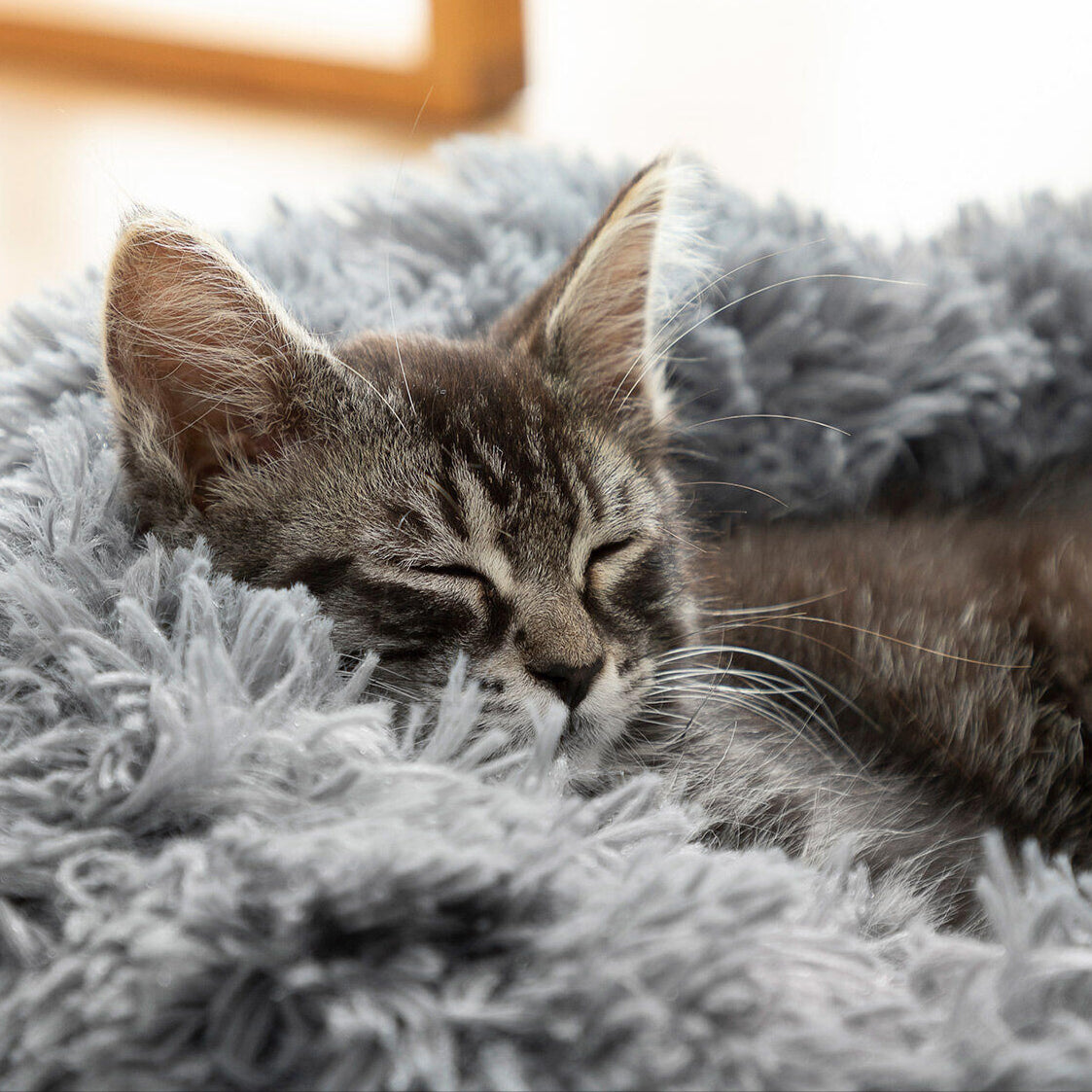 Cama Antiestrés para Mascotas Ø 60 cm – Confort y Relajación Garantizada