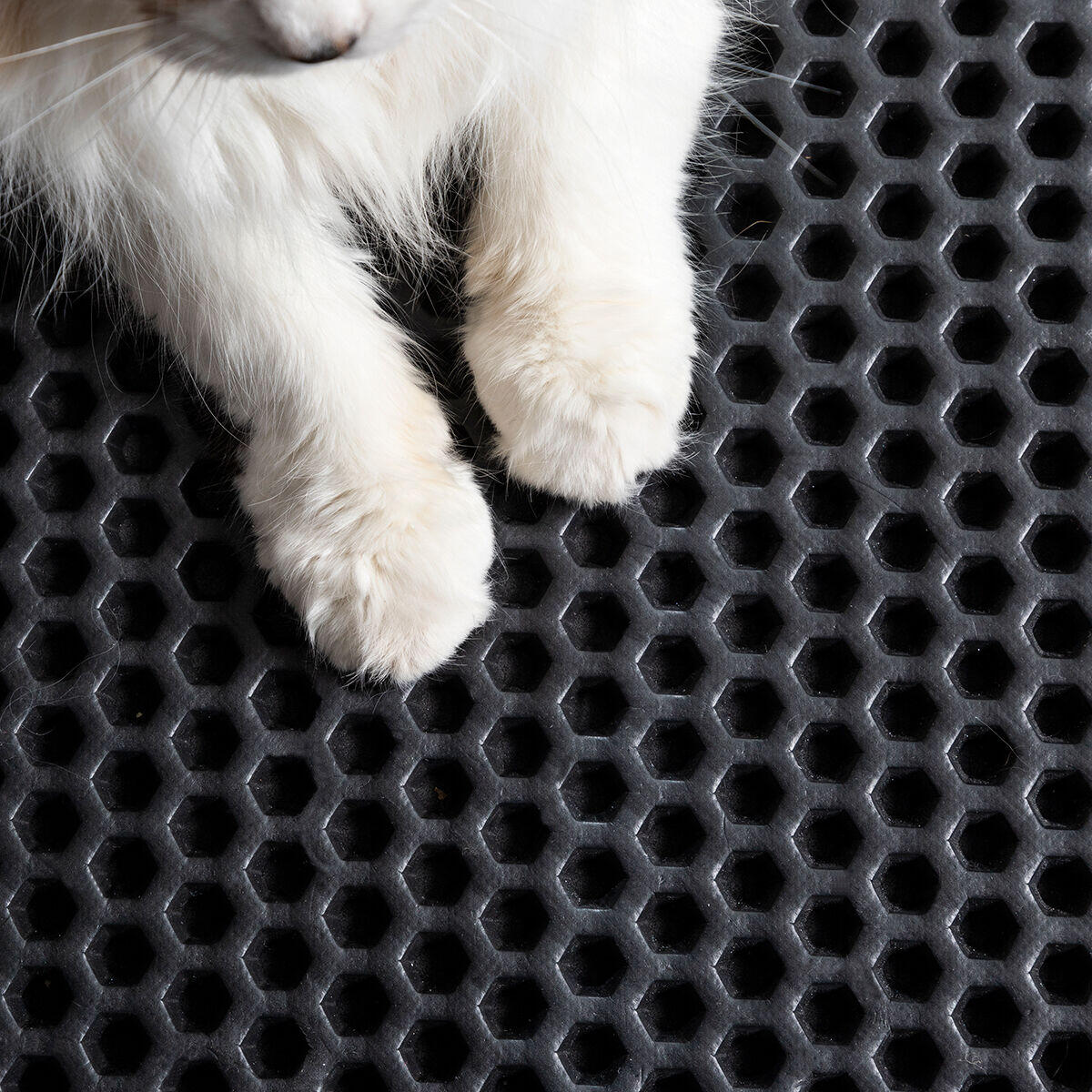 Alfombra para Arenero de Gatos – Captura la Arena y Mantiene Limpio el Suelo
